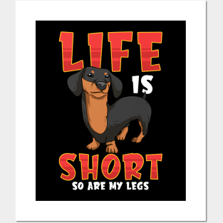 Life Is Short So Are My Legs Dachshund Posters and Art